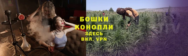 мдпв Бугульма