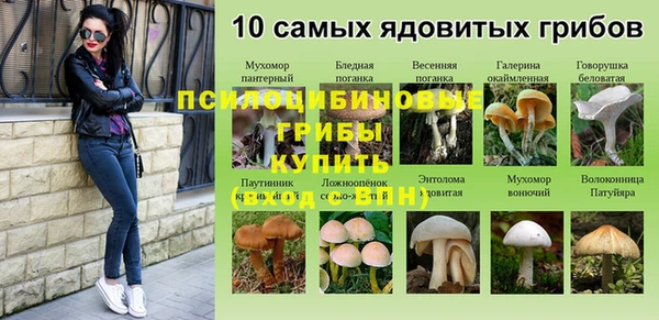 мдпв Бугульма