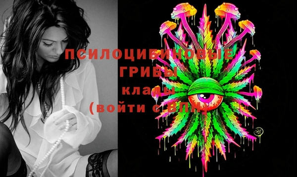 мдпв Бугульма