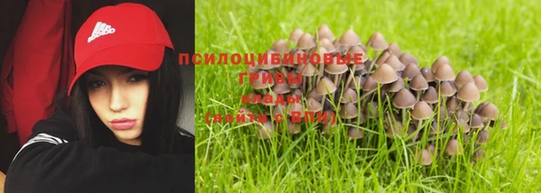 мдпв Бугульма
